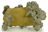 Golden Pyrite on Limonite Clay - Pakistan #283725-1